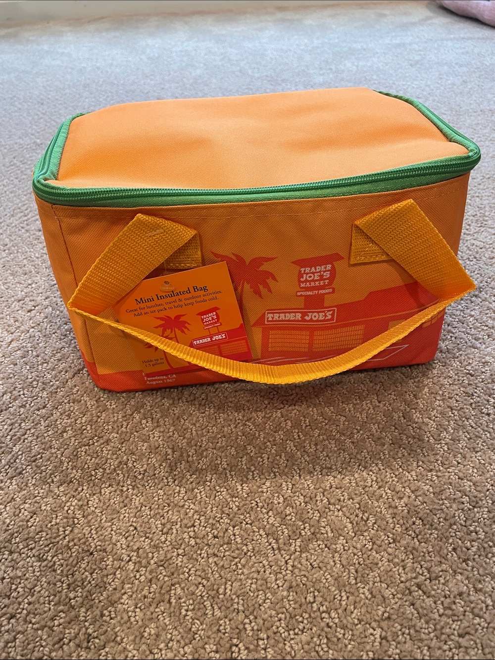Trader Joe's Orange/Lime Green Mini Insulated Lunch/Picnic Bag